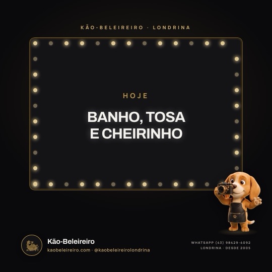BANHO, TOSA E CHEIRINHO